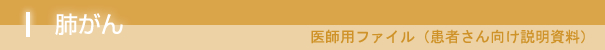 標準プロトコール